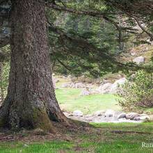 Propice � la sieste