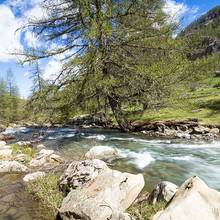 Randonn�e le long de la Lance