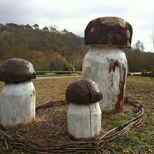 C�pes sculpt�s dans le bois pr�s de Monpazier en Dordogne