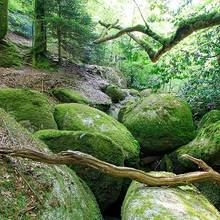 Photo : Chaos de Huelgoat en Bretagne Chaos de Huelgoat en Bretagne