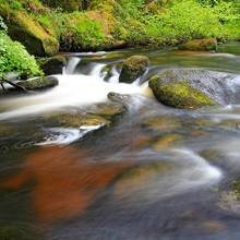 Balade dans la for�t de Huelgoat