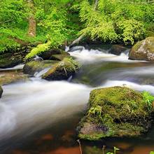 Cours d'eau dans la for�t de Huelgoat