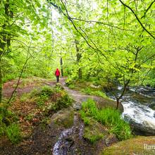 Photo : Balade dans la forêt de Huelgoat Balade dans la forêt de Huelgoat