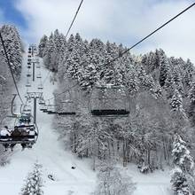 Neige sur les sapins � Bar�ges