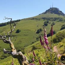 La Rhune dans le Pays Basque