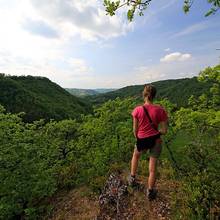 Photo : Point de vue au dessus de Rodelle Point de vue au dessus de Rodelle