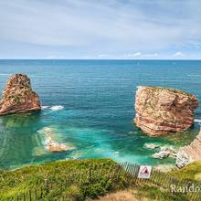Les jumeaux Harrokak 