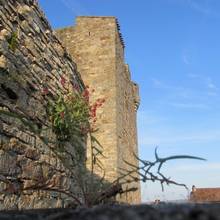 Capdenac le Haut, Lot, Midi Pyr�n�es