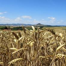 Usson sur sa montagne 