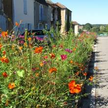 Monpazier, bastide fleurie en Dordogne
