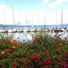 Port d'Yvoire, sur le bord du Lac L�man