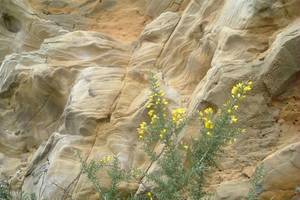 Photo : Jaizkibel Jaizkibel