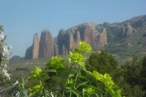 Mallos de Riglos