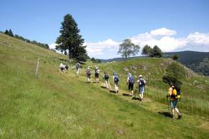 Association Vosges en Marche