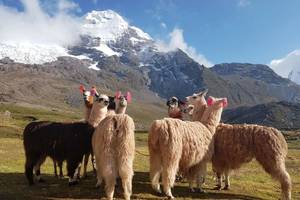 Adresse : Andean Lodges Andean Lodges